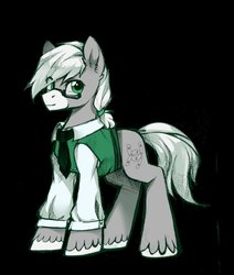 Size: 1606x1896 | Tagged: safe, artist:wkirin, oc, oc only, earth pony, pony, black background, clothes, male, simple background, solo, stallion