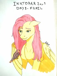 Size: 1560x2080 | Tagged: safe, artist:0-van-0, fluttershy, bird, pegasus, pony, g4, bust, floppy ears, inktober, inktober 2019, simple background, sitting on wing, smiling, traditional art, white background, wing hands, wings