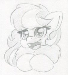 Size: 1588x1740 | Tagged: safe, artist:zemer, oc, oc:feather belle, pony, chest fluff, cute, fluffy, monochrome, open mouth, smiling, traditional art