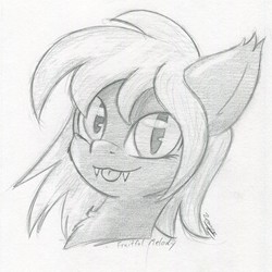 Size: 1577x1578 | Tagged: safe, artist:zemer, oc, oc:fruitful melody, bat pony, pony, bat pony oc, commission, cute, cute little fangs, fangs, looking at you, monochrome, tongue out, traditional art
