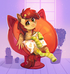 Size: 1000x1057 | Tagged: safe, artist:dearmary, oc, oc only, pegasus, pony, cactus, clothes, pillow, socks, solo, striped socks