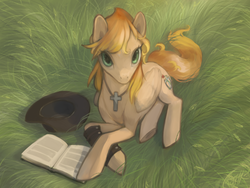 Size: 1400x1050 | Tagged: safe, artist:magistra, oc, oc only, pegasus, pony, book, hat, jewelry, necklace, solo