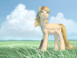 Size: 1400x1050 | Tagged: safe, artist:magistra, oc, oc only, pegasus, pony, cloud, female, grass, jewelry, mare, necklace, sky, solo, windswept mane