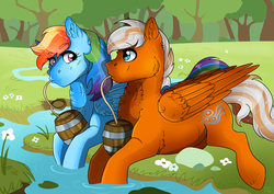 Size: 3035x2150 | Tagged: safe, artist:ali-selle, rainbow dash, oc, pegasus, pony, g4, chest fluff, commission, forest, high res, illustration, keg, river, straw, stream, tree, water