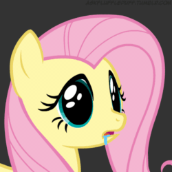 Size: 500x500 | Tagged: safe, artist:mixermike622, edit, fluttershy, pegasus, pony, pink fluffy unicorns dancing on rainbows, g4, animated, bust, cute, dilated pupils, drool, eye shimmer, female, flutterhigh, frown, gif, gray background, high, mare, open mouth, portrait, reaction image, shyabetes, simple background, solo