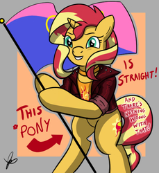 Size: 550x600 | Tagged: safe, artist:gamedevanon, artist:thedrizzle404, edit, sunset shimmer, pony, unicorn, g4, arrow, bipedal, choker, clothes, female, flag, flag pole, grin, hoof hold, jacket, jewelry, leather jacket, looking at you, mare, meme, pride, pride flag, signature, smiling, solo, squee, standing upright, straight pride, straight pride flag, text, this cat is gay and there's nothing you can do about it