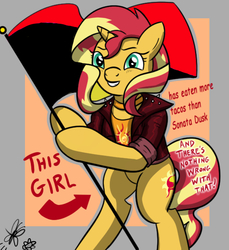 Size: 550x600 | Tagged: safe, artist:thedrizzle404, edit, edited edit, editor:gamedevanon, sunset shimmer, pony, unicorn, g4, anarcho-syndicalism, arrow, bipedal, choker, clothes, edit of an edit of an edit, female, flag, flag pole, grin, hoof hold, jacket, jewelry, leather jacket, looking at you, mare, meme, signature, smiling, solo, squee, standing upright, text, this cat is gay and there's nothing you can do about it