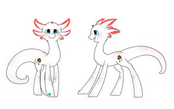 Size: 1316x821 | Tagged: safe, artist:octomoparalysis, oc, oc only, axolotl, pony, ponified, solo