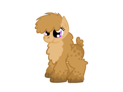 Size: 800x600 | Tagged: safe, artist:pvt-llama, llama, pony, fluffy