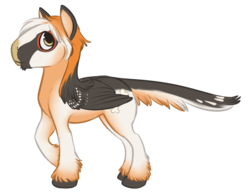 Size: 1194x936 | Tagged: safe, artist:parroty, oc, oc only, bird, vulture, bearded vulture, simple background, solo, transparent background