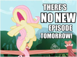 Size: 471x350 | Tagged: safe, edit, edited screencap, screencap, fluttershy, pony, g4, may the best pet win, season 2, cropped, female, find a pet, impact font, inverted mouth, no shit sherlock, solo