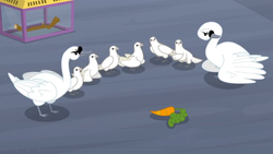 Size: 1360x768 | Tagged: safe, screencap, eloise, hubert (swan), bird, dove, swan, g4, the last problem, angry, box, carrot, crossed wings, flock, food, glass, piper perri surrounded, unamused, upset