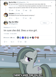 Size: 646x883 | Tagged: safe, edit, marble pie, earth pony, pony, g4, hearthbreakers, season 10, answer, caption, cute, episode idea, fanfic idea, female, hope, jim miller, mare, message, meta, question, response, text, twitter