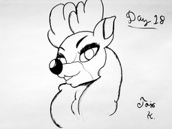 Size: 2064x1548 | Tagged: safe, artist:jojohernandez, velvet (tfh), deer, reindeer, them's fightin' herds, bust, community related, female, inktober, inktober 2019, lineart, rudolph the red nosed reindeer, solo, traditional art