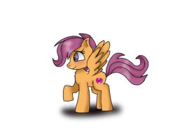 Size: 1024x768 | Tagged: safe, artist:badimo, scootaloo, pegasus, pony, g4, blushing, chest fluff, female, filly, foal, raised eyebrow, raised hoof, shadow, signature, simple background, smiling, solo, standing, white background, wings
