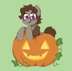 Size: 1500x1476 | Tagged: safe, artist:dawnfire, oc, oc only, earth pony, pony, glasses, pumpkin, solo