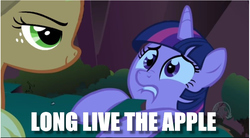Size: 852x471 | Tagged: safe, edit, edited screencap, screencap, applejack, twilight sparkle, friendship is magic, g4, betrayal, caption, image macro, long live the king, parody, scene parody, text, the lion king, this will end in death