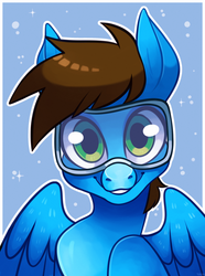 Size: 2461x3300 | Tagged: safe, artist:yukiin, oc, oc only, oc:blue scroll, pegasus, pony, bust, goggles, high res, male, portrait