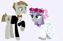 Size: 680x449 | Tagged: safe, artist:glittertiara, maud pie, mudbriar, earth pony, pony, g4, clothes, dress, duo, female, male, marriage, ship:maudbriar, shipping, smiling, straight, wedding, wedding dress, when she smiles