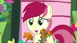Size: 1920x1080 | Tagged: safe, screencap, roseluck, pony, g4, student counsel, cute, female, flower, rosabetes, solo
