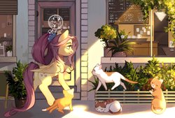 Size: 2039x1378 | Tagged: safe, alternate version, artist:xieyanbbb, fluttershy, cat, pegasus, pony, g4, the last problem, cafe, coffee shop, crepuscular rays, cute, daaaaaaaaaaaw, female, fixed, looking at something, mare, older, older fluttershy, outdoors, plant, scenery, shyabetes, smiling