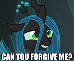 Size: 586x485 | Tagged: safe, edit, edited screencap, screencap, queen chrysalis, changeling, changeling queen, frenemies (episode), g4, season 9, a better ending for chrysalis, adorkable, alternate ending, alternate scenario, alternate universe, apology, bad poker face, caption, character development, cropped, cute, cutealis, dialogue, dork, dorkalis, fangs, female, good end, grin, happy, image macro, impact font, looking at you, mare, meta, nervous, nervous smile, open mouth, reaction image, redemption, reformed, regret, silly, silly pony, smiling, smiling at you, solo, sorry, spread wings, standing, talking, teeth, text, wall of tags, what if, when she smiles, wings
