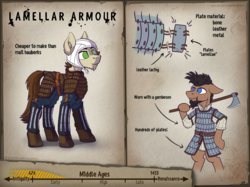 Size: 2661x1995 | Tagged: safe, artist:helmie-art, earth pony, pony, arming cap, armor, axe, gambeson, male, reference sheet, stallion, weapon
