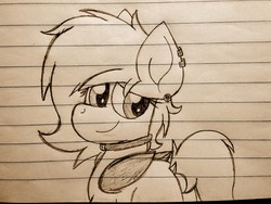 Size: 2560x1920 | Tagged: safe, artist:thebadbadger, oc, oc only, oc:meeko, bat pony, pony, collar, lined paper, solo, traditional art