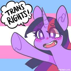 Size: 894x894 | Tagged: safe, artist:snowolive, twilight sparkle, pony, g4, argument in the comments, beanbrows, blushing, comments locked down, exclamation point, eye clipping through hair, eyebrows, female, mare, open mouth, politics in the comments, pride, pride flag, solo, speech, speech bubble, trans rights, trans twilight sparkle, transgender, transgender pride flag