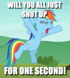 Size: 368x406 | Tagged: safe, edit, edited screencap, screencap, rainbow dash, pony, g4, non-compete clause, caption, cropped, female, image macro, shut up, solo, text, yelling