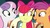 Size: 1920x1080 | Tagged: safe, screencap, apple bloom, scootaloo, sweetie belle, earth pony, pony, g4, growing up is hard to do, being big is all it takes, cutie mark crusaders, older, older apple bloom, older cmc, older scootaloo, older sweetie belle, train