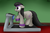 Size: 2347x1530 | Tagged: safe, artist:the-furry-railfan, octavia melody, earth pony, pony, g4, earbuds, exercise, female, floppy ears, mare, open mouth, plump, pudgy, raised hoof, solo, sweatband, treadmill, walkman
