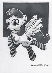 Size: 1746x2450 | Tagged: safe, artist:brendahickey, oc, oc only, oc:snow pup, pegasus, pony, clothes, collar, female, grayscale, mare, monochrome, open mouth, simple background, sketch, socks, solo, spread wings, striped socks, traditional art, wings