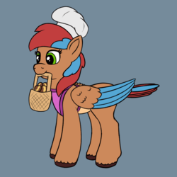 Size: 811x811 | Tagged: safe, artist:redquoz, oc, oc only, oc:allegra mazarine, bird, bird pone, pegasus, pony, apron, basket, chef's hat, clothes, colored sketch, hat, sketch, solo, two toned mane, two toned wings, wings