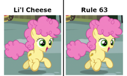 Size: 666x400 | Tagged: safe, edit, edited screencap, screencap, li'l cheese, earth pony, pony, g4, the last problem, androgynous, caption, cropped, debate in the comments, female, filly, image macro, li'l cheese (rule 63), meme, rule 63, text