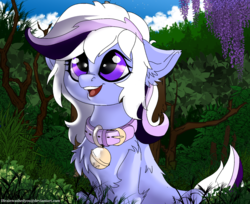 Size: 1920x1563 | Tagged: safe, artist:brainiac, oc, oc only, oc:whiskey lullaby, cat pony, original species, pony, bell, bell collar, cat bell, chest fluff, collar, cute, female, mare, ocbetes, pet play, solo