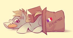 Size: 1631x860 | Tagged: safe, artist:imalou, oc, oc only, oc:cookie malou, earth pony, pony, baguette, bread, cardboard box, food, french, solo