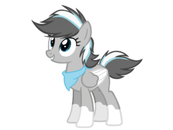 Size: 4500x3375 | Tagged: safe, artist:avatarmicheru, oc, oc only, oc:snowdrift blitz, pegasus, pony, female, mare, simple background, solo, transparent background, two toned wings, wings