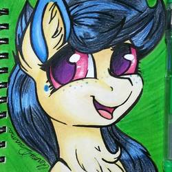 Size: 894x894 | Tagged: safe, artist:gleamydreams, oc, oc only, earth pony, pony, chest fluff, ear fluff, looking at you, smiling, solo, traditional art