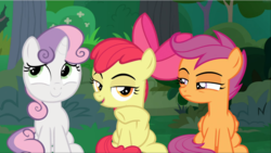 Size: 1667x940 | Tagged: safe, screencap, apple bloom, scootaloo, sweetie belle, earth pony, pegasus, pony, unicorn, g4, the big mac question, bow, cropped, cutie mark crusaders, female, filly, glare, hair bow, lidded eyes, raised hoof, sitting, smiling, smirk, varying degrees of amusement