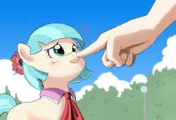 Size: 756x515 | Tagged: safe, artist:vinilyart, coco pommel, earth pony, human, pony, g4, blushing, boop, cocobetes, cute, female, hand, heart, mare, offscreen character, offscreen human