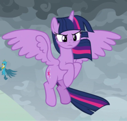 Size: 939x893 | Tagged: safe, screencap, gallus, twilight sparkle, alicorn, pony, g4, the ending of the end, cropped, determined, female, flying, glare, solo focus, spread wings, twilight sparkle (alicorn), twilight sparkle is not amused, unamused, windswept mane, wings