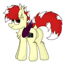 Size: 3000x3000 | Tagged: safe, artist:aaathebap, oc, oc only, oc:aaaaaaaaaaa, bat pony, pony, bat pony oc, butt, featureless crotch, fluffy, high res, male, plot, solo