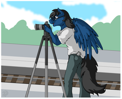 Size: 2948x2378 | Tagged: safe, artist:stormblaze-pegasus, oc, oc only, pegasus, anthro, camera, clothes, glasses, handsome, high res, male, open mouth, pants, solo, spread wings, stallion, train tracks, wings
