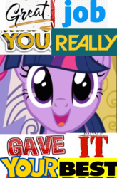 Size: 391x596 | Tagged: safe, twilight sparkle, pony, g4, caption, expand dong, exploitable meme, image macro, meme, positive ponies, text, you did it