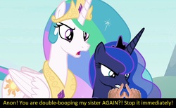 Size: 1280x791 | Tagged: safe, edit, edited screencap, screencap, princess celestia, princess luna, oc, oc:anon, human, g4, the ending of the end, angry, boop, boop edit, bronybait, caption, cute, double boop, hand, meta, non-consensual booping, royal sisters