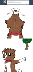 Size: 800x1718 | Tagged: safe, artist:askwinonadog, applejack, winona, dog, ask winona, apple, apple tree, ask, comic, duo, hiding, pointing, simple background, sniffing, tree, tumblr, white background