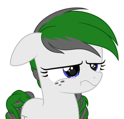 Size: 2245x2158 | Tagged: safe, artist:mint-light, artist:rioshi, artist:starshade, oc, oc only, oc:crosshair, earth pony, pony, female, high res, simple background, solo, white background