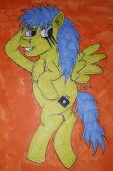 Size: 1060x1603 | Tagged: safe, artist:rapidsnap, oc, oc only, oc:rapidsnap, pony, chest fluff, fluffy, solo, traditional art