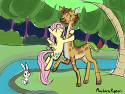 Size: 1200x900 | Tagged: safe, artist:machacapigeon, angel bunny, clementine, fluttershy, giraffe, pegasus, pony, rabbit, g4, angel bunny is not amused, animal, cloven hooves, female, happy birthday mlp:fim, hug, mare, mlp fim's ninth anniversary, outdoors, pale belly, river, sweet feather sanctuary, tree